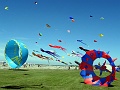 DSC09501