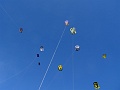 DSC09520