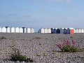 DSC02139