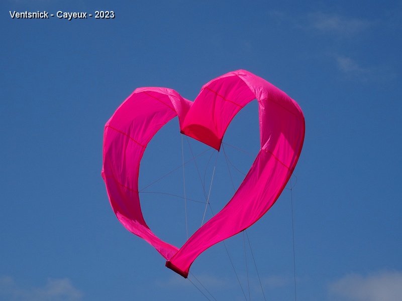 DSC02022.JPG - Cayeux : on adore définitivement !