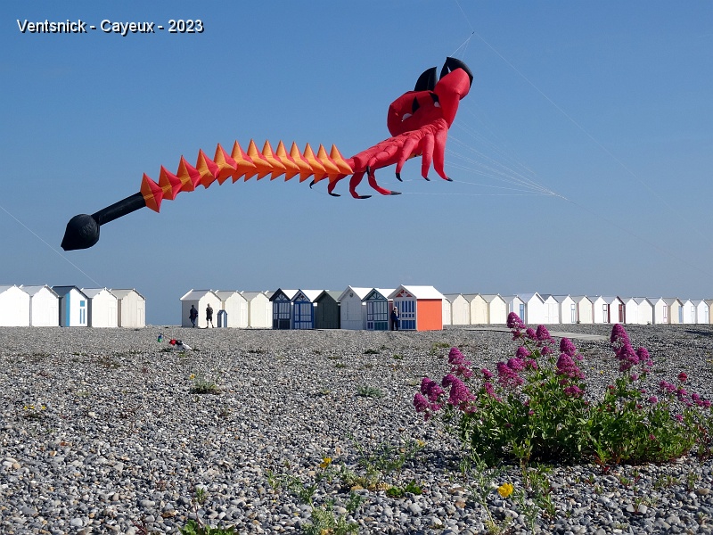 DSC02038.JPG - Scorpion du Club Miztral.