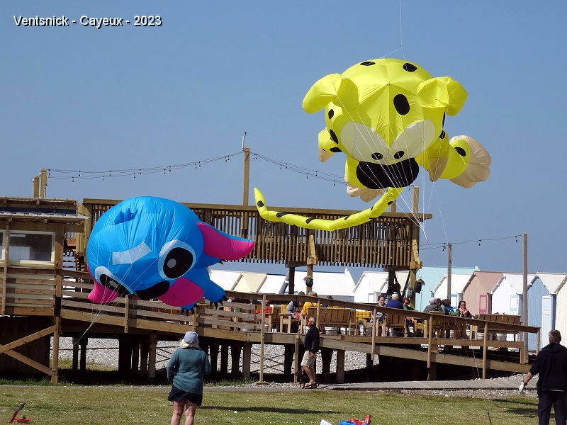 DSC02054.JPG - Stich et Marsupilami d'Emmanuel et Véronique Dejager.