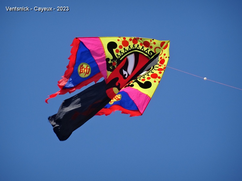 DSC02100.JPG - Le cerf-volant Chinois de Joël Goupil  supporte bien le gros vent !