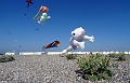 DSC02037