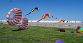 DSC02093