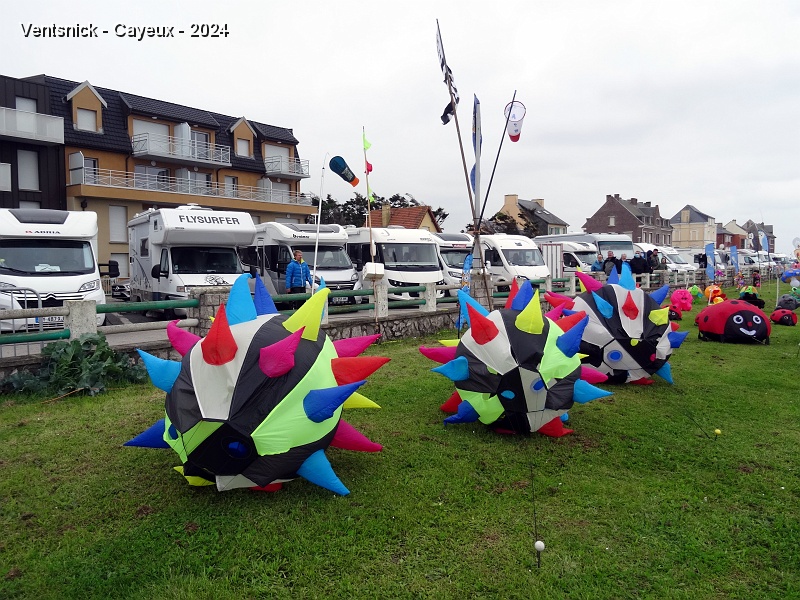 DSC04789.JPG - Boules hérissées de picots, ...