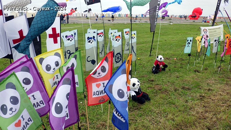 RIMG0307.JPG - Des pandas ? C'est ici que l'on peut croiser Sophie Levesque !