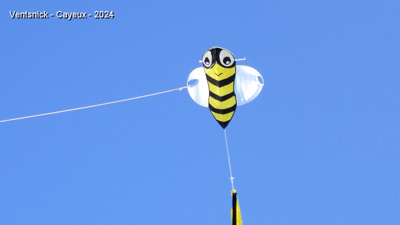 RIMG0351.JPG - Marcel Frère lance une abeille équipée d'un arc sonore qui imite parfaitement son bourdonnement !