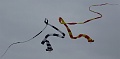 DSC04813