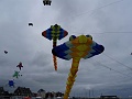DSC04854