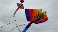 RIMG0289