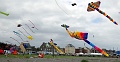 RIMG0316