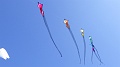 RIMG0344