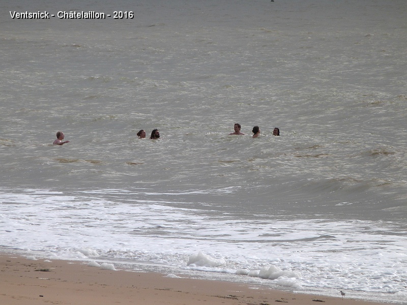 P1180149.JPG - ... et pourtant quelques téméraires profitent d'un bain de mer.