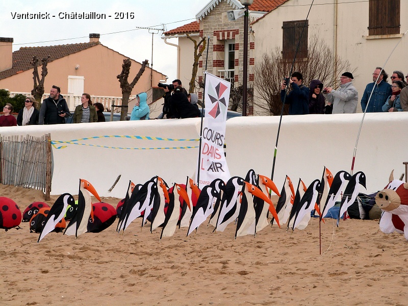 P1180269.JPG - L'association  "Cours dans l'air" décore le sol de la plage : des pingouins ...
