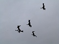 P1180159