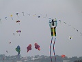 P1180178