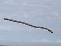 P1180293