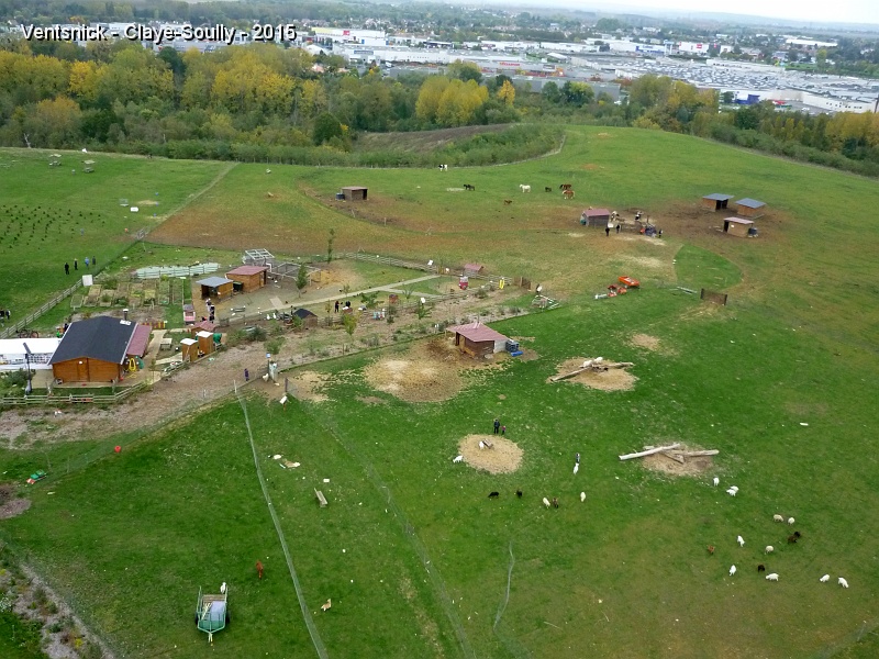 P1210424.JPG - ...