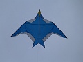 P1160318