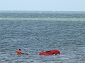 P1050524