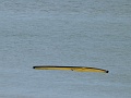 P1050794