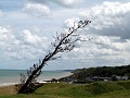 P1050570