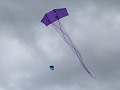 P1060252