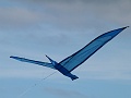 P1060324