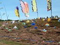 P1060357