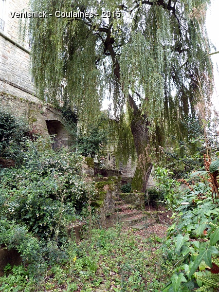 P1150559.JPG - Jardin secret.