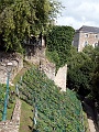 P1150528