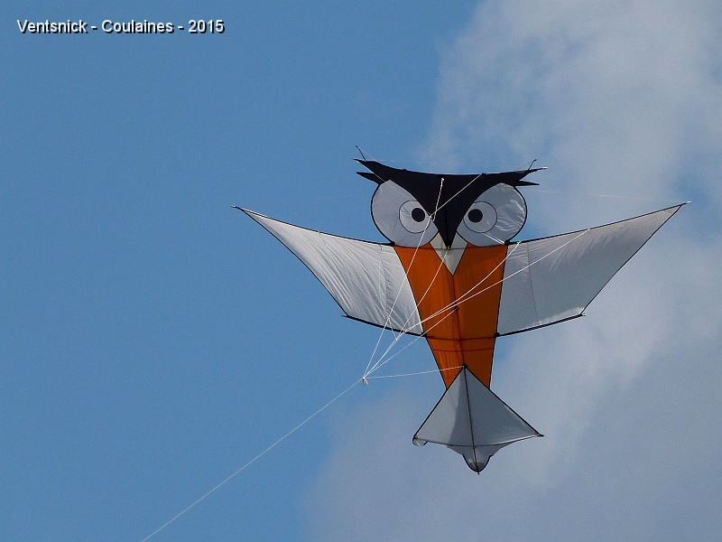 P1150630.JPG - ... Hibou de Bernard ...