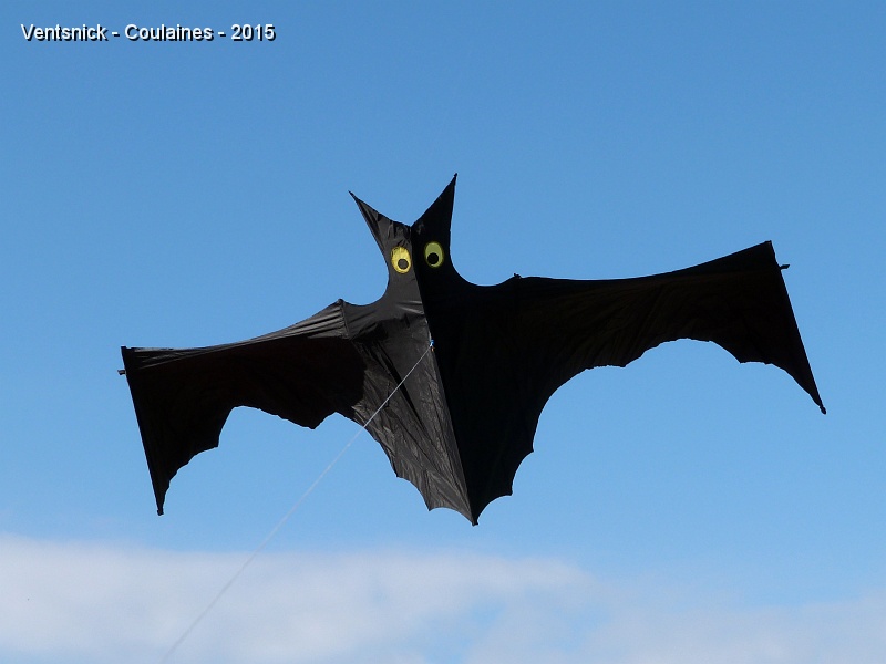 P1150739.JPG - Notre chauve-souris sur un fond de ciel très bleu.