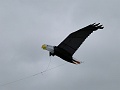 P1150601