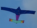 P1150626