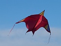 P1150741
