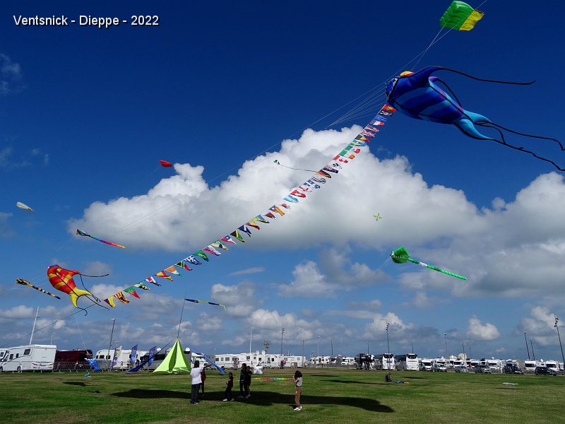DSC00194.JPG - ... ligne de drapeaux et pyranas de Ti Mimi, ...