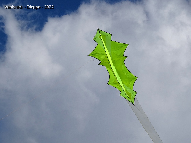 DSC00223.JPG - Variante du "Xelon" de Rainer Hoffman, une superposition de couches de spi de la même teinte permet de nuancer le décor du cerf-volant de Magi Walter !
