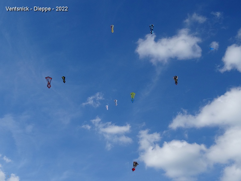DSC00373.JPG - ... un vol de 40 cerfs-volants de forme identique est prévu ! ...