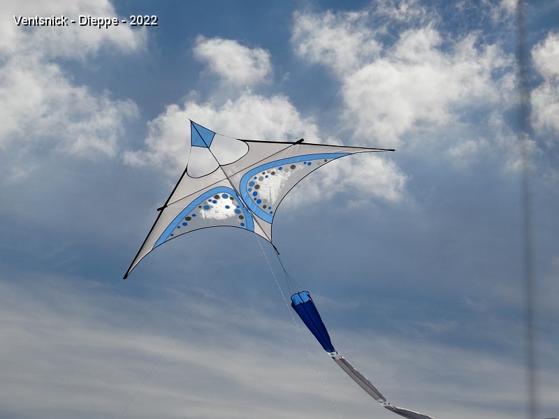 DSC00387.JPG - Delta canard de Rainer Hoffmann (DE), le ciel en décore partiellement la voile transparente !