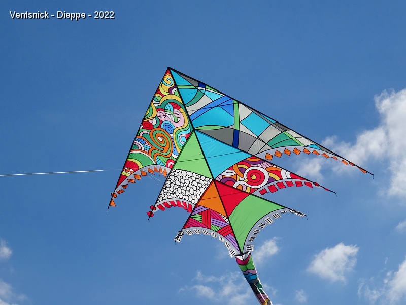 DSC00397.JPG - Ce cerf-volant d'Ingo Ratzlaff (DE) a décoré l'affiche de l'édition 2018 du Festival !