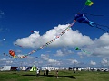 DSC00194