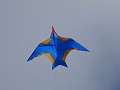 DSC00216