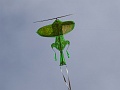 DSC00220