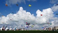 DSC00221