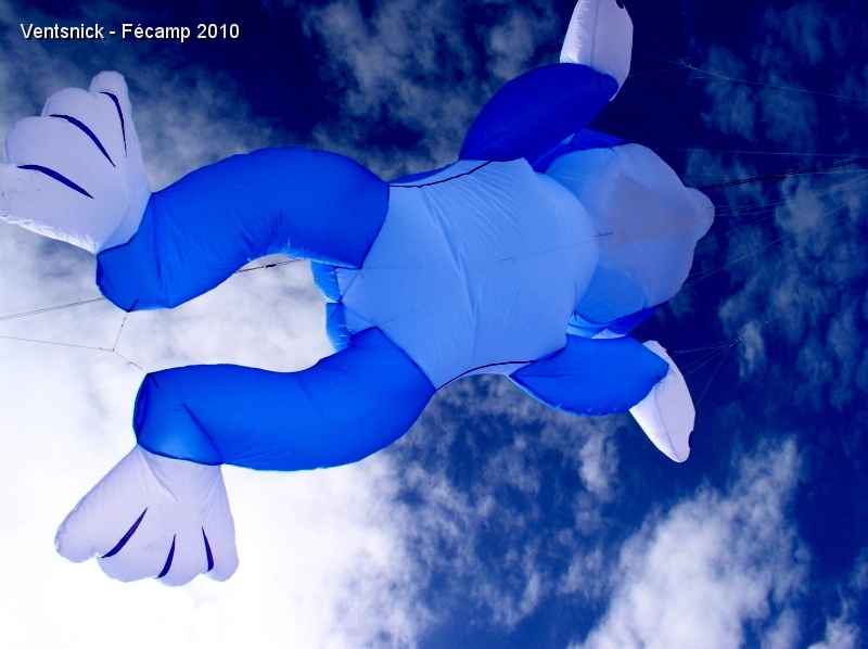 P6190078.JPG - Notre grenouille en ton bleu sur un ciel qui ne l'est pas moins.