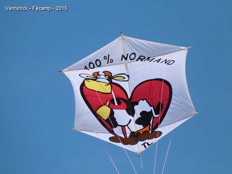 P1140677.JPG - "100% Normand" : un cerf-volant de Thierry Lecuyer !
