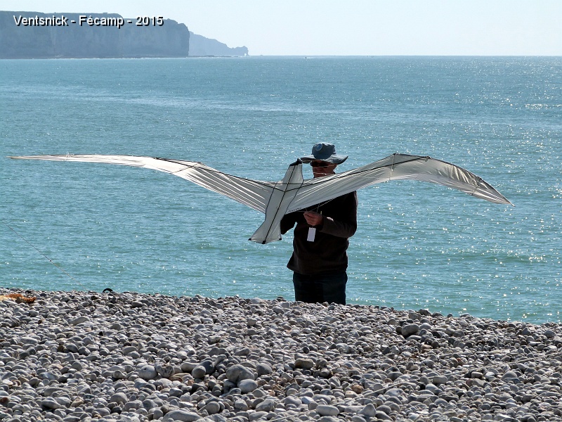 P1140706.JPG - Envol d'un oiseau de Maxime Rousselle.