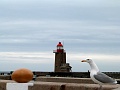 P1240309